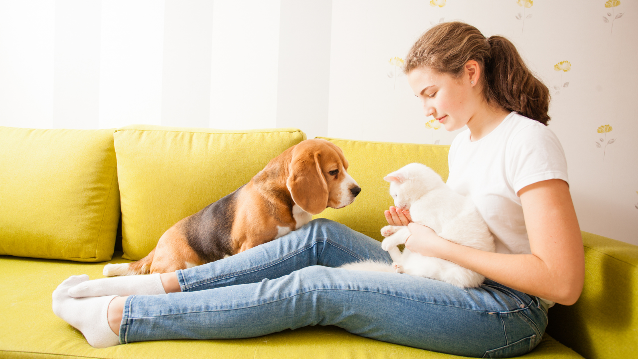 6 Ingredients to Improve  You and Your Pet’s Health!