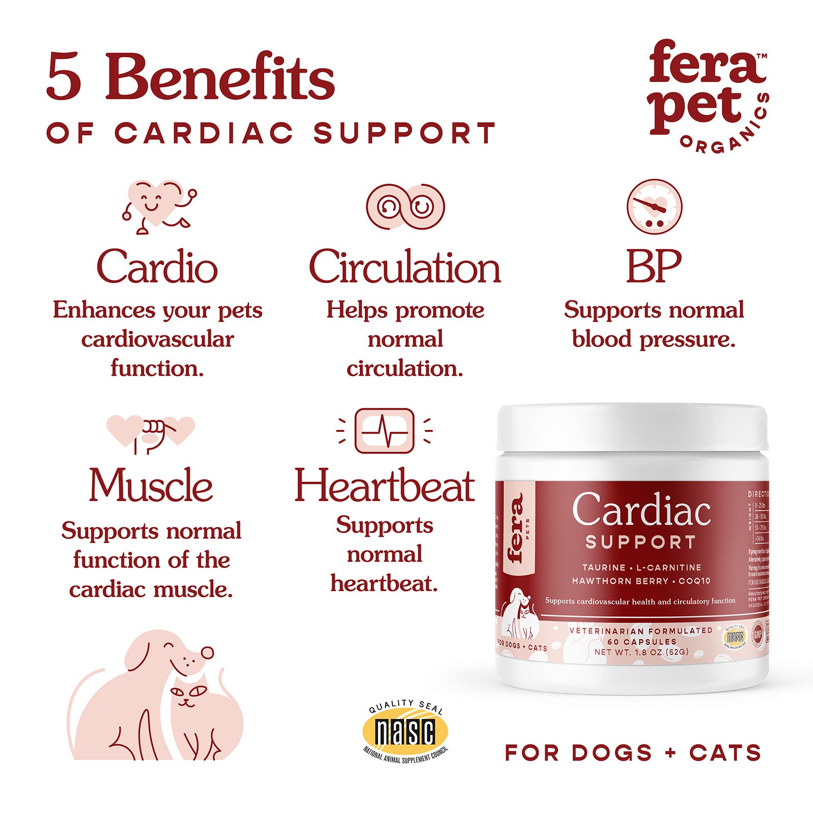 Cardiac Support for Dogs and Cats